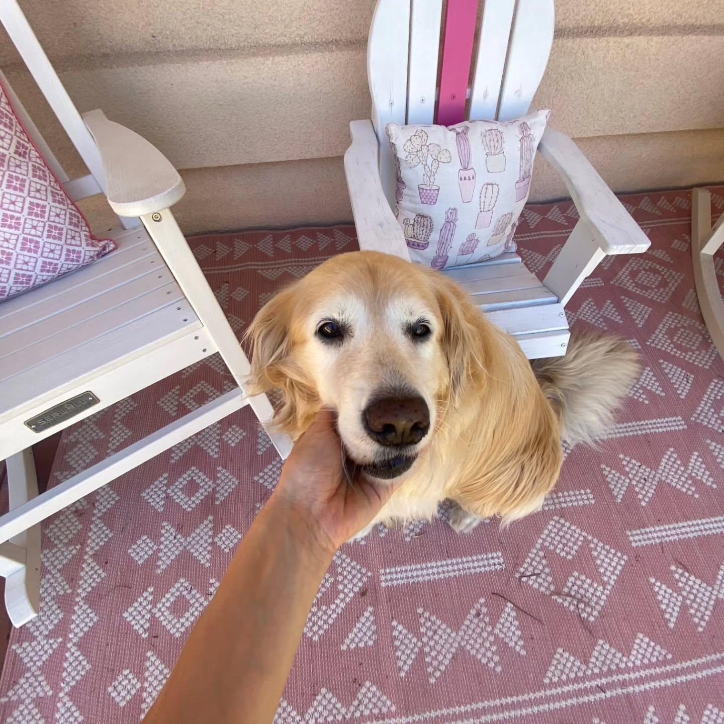 Hera