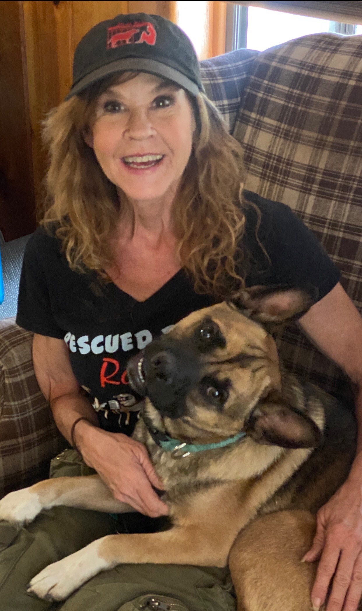 Kobe, a Adoptable mixed breed in Acton, CA image 3/10