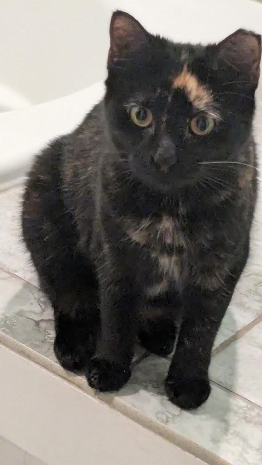 Doris