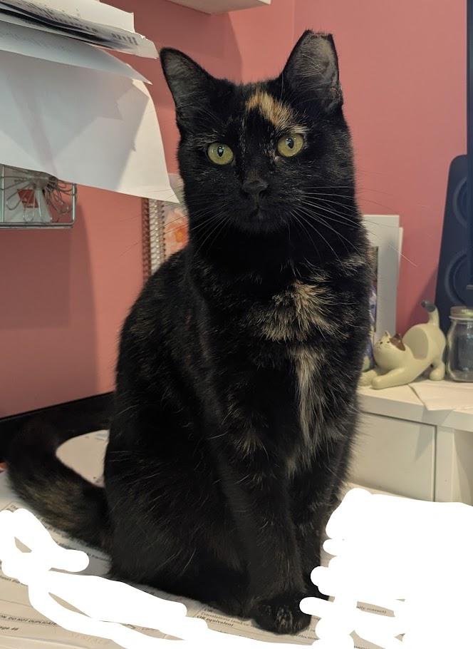 Doris
