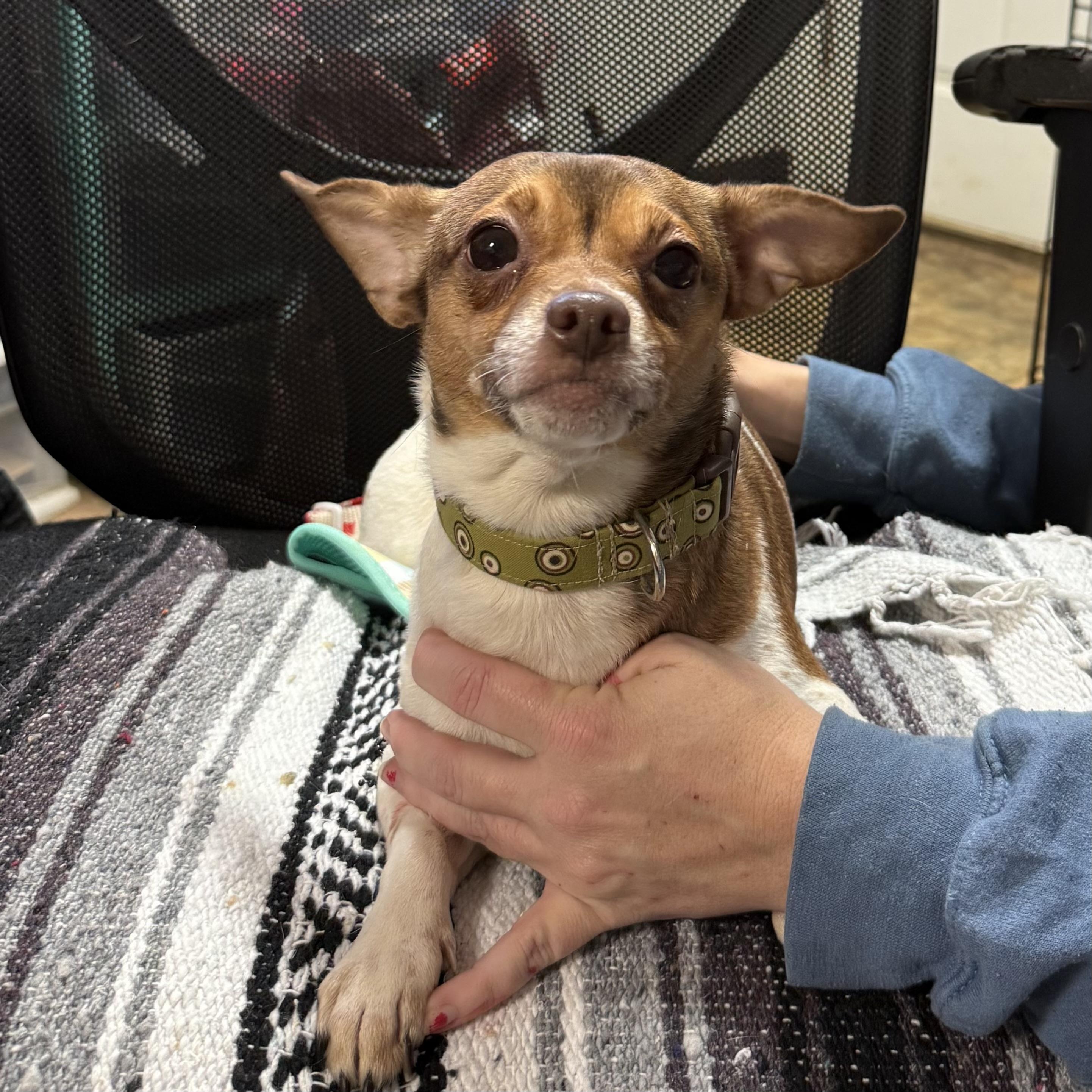 Steeler — thumbnail 3