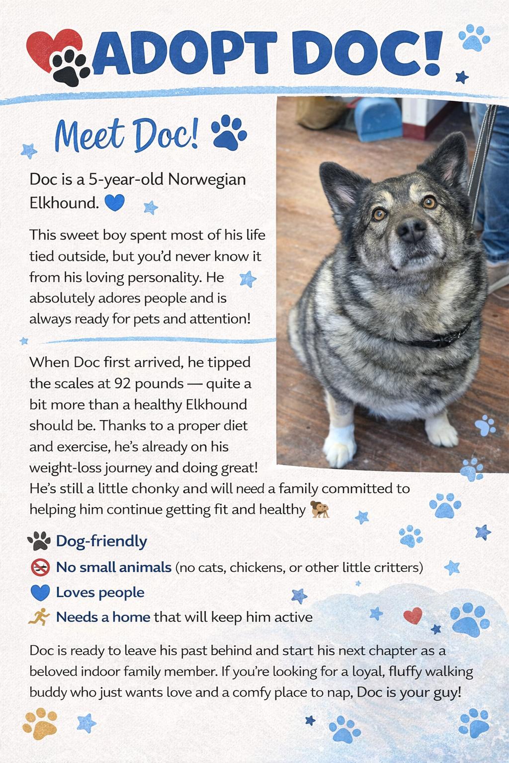 Enlarge Doc , a ADOPTABLE mixed breed in Howes Cave, NY image 1/1