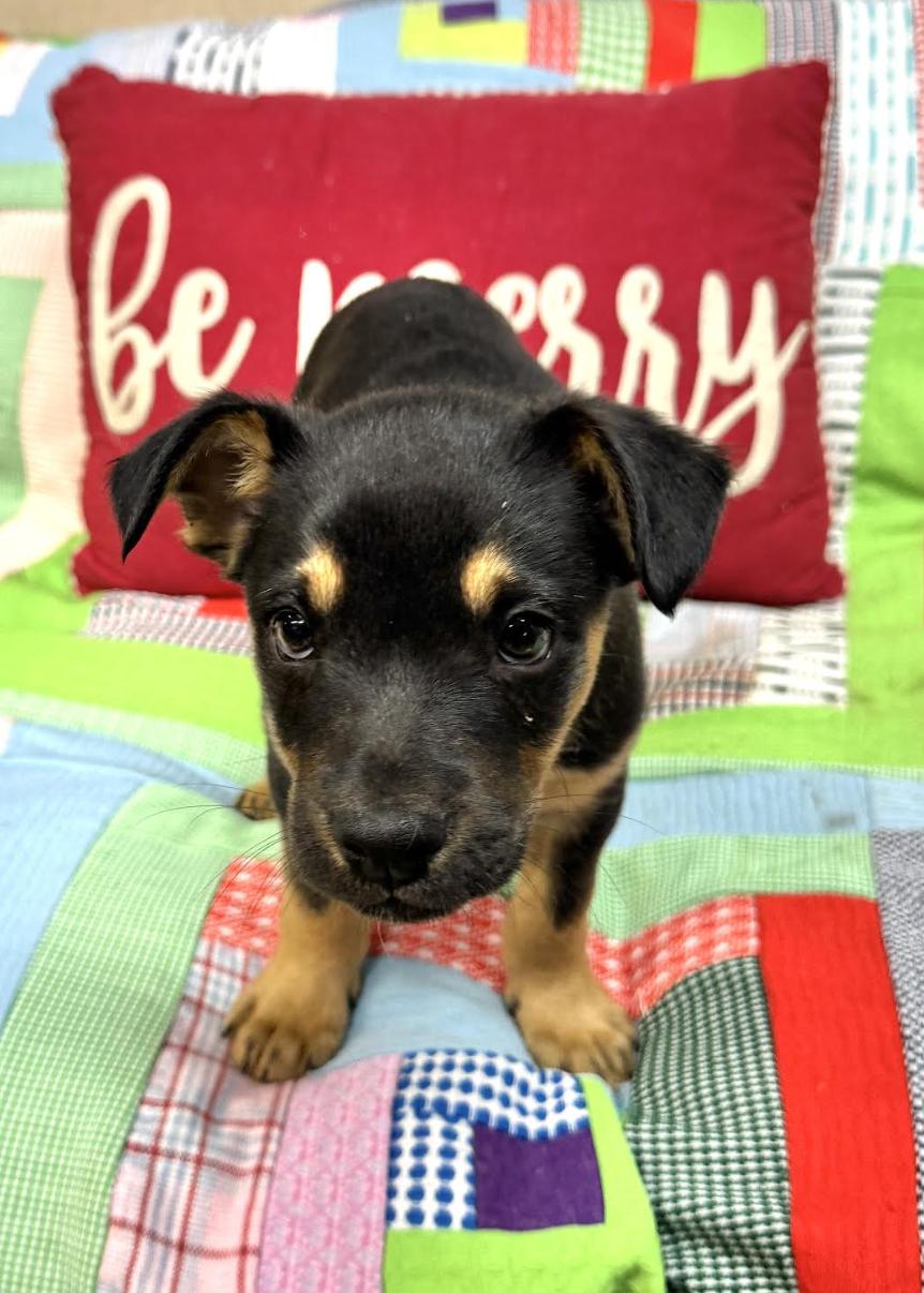 Cooper Landman ~ Local thumbnail 2