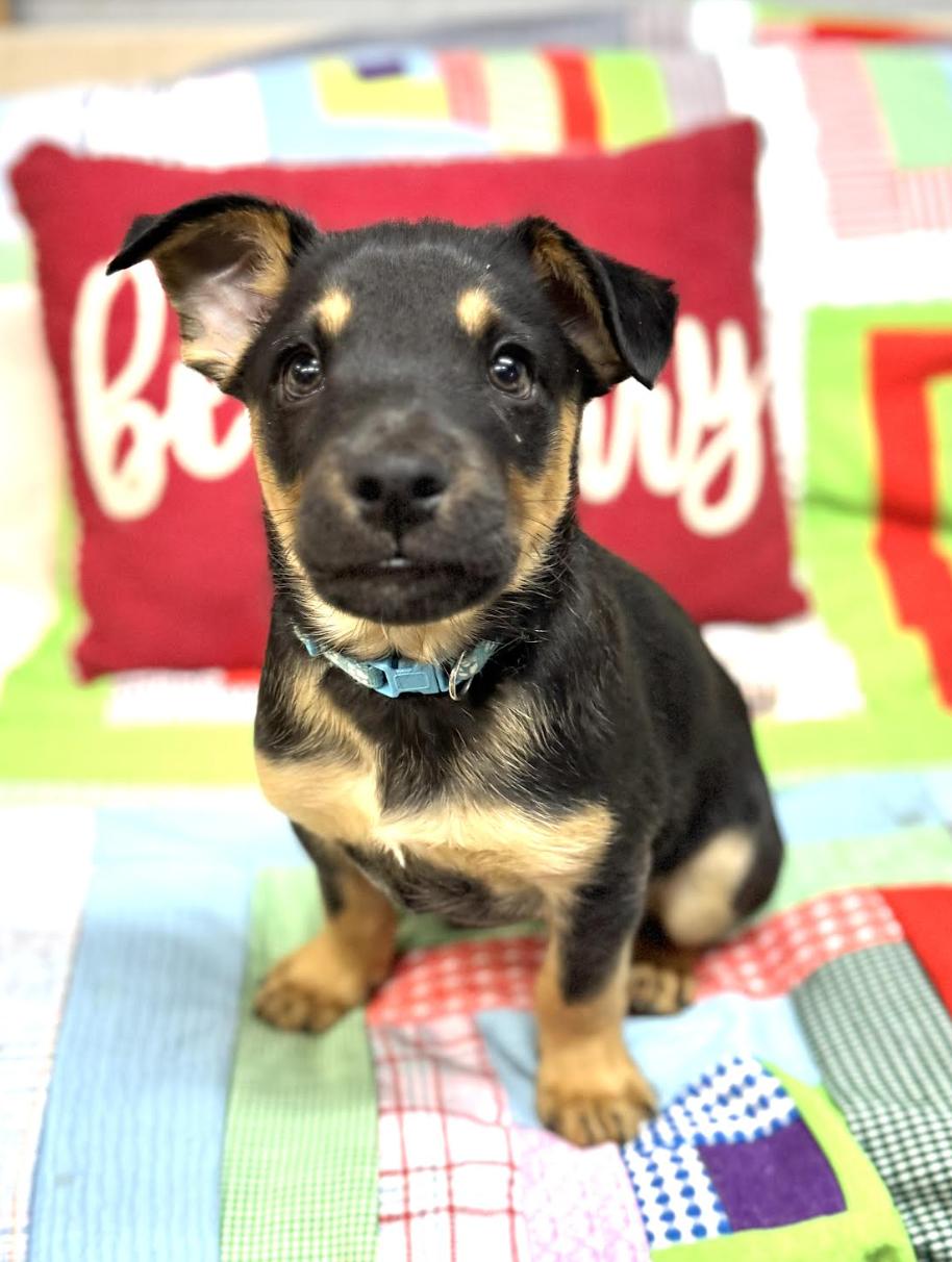 Cooper Landman ~ Local thumbnail 3