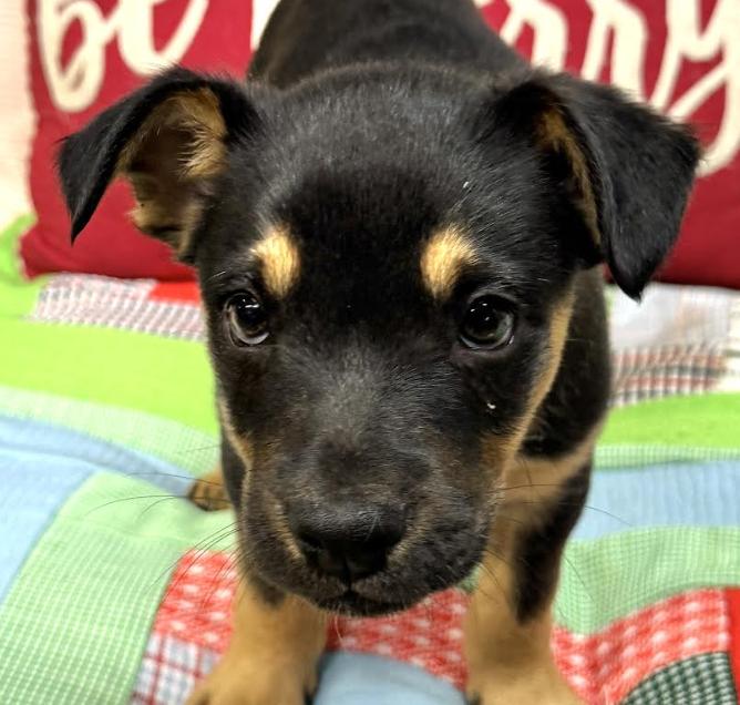 Cooper Landman ~ Local thumbnail 4