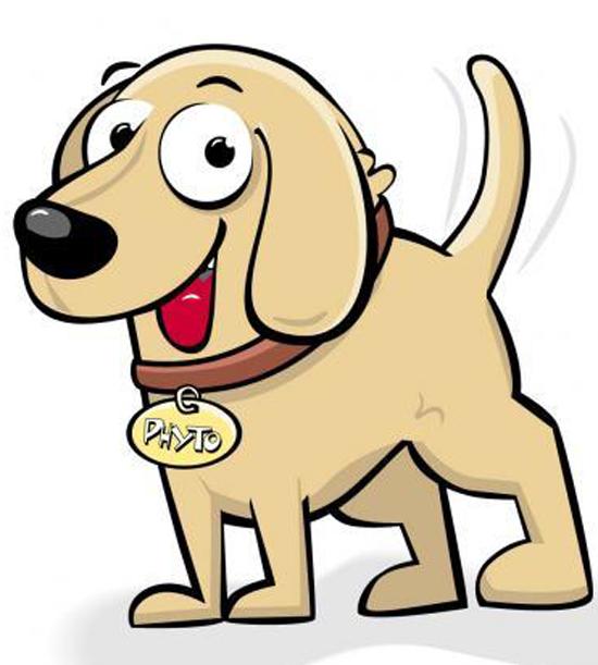 Enlarge LITTLE DOG FOSTERS NEEDED, a Adoptable mixed breed in Farmington, MN image 1/6