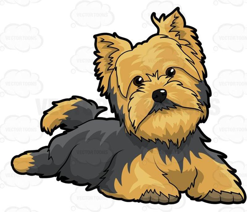 Enlarge LITTLE DOG FOSTERS NEEDED, a Adoptable mixed breed in Farmington, MN image 3/6