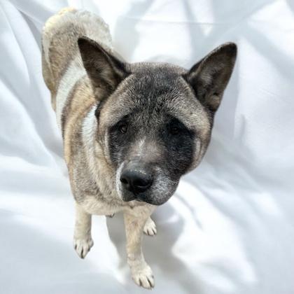 Charlotte thumbnail 2