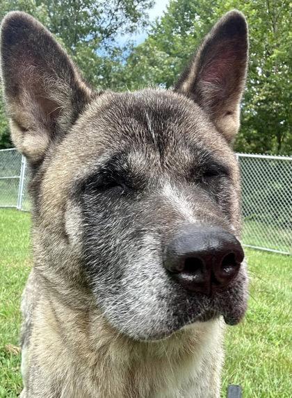 Charlotte thumbnail 3