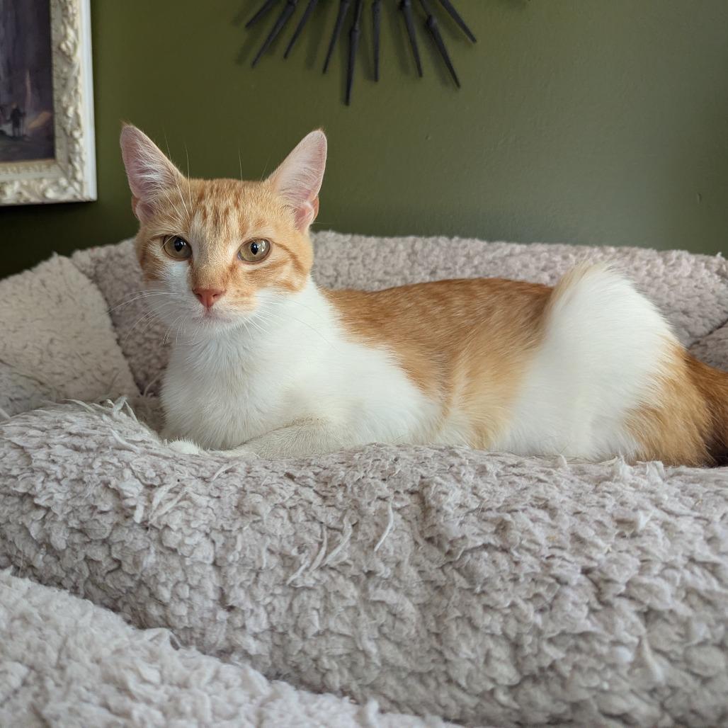 Hilda — thumbnail 2