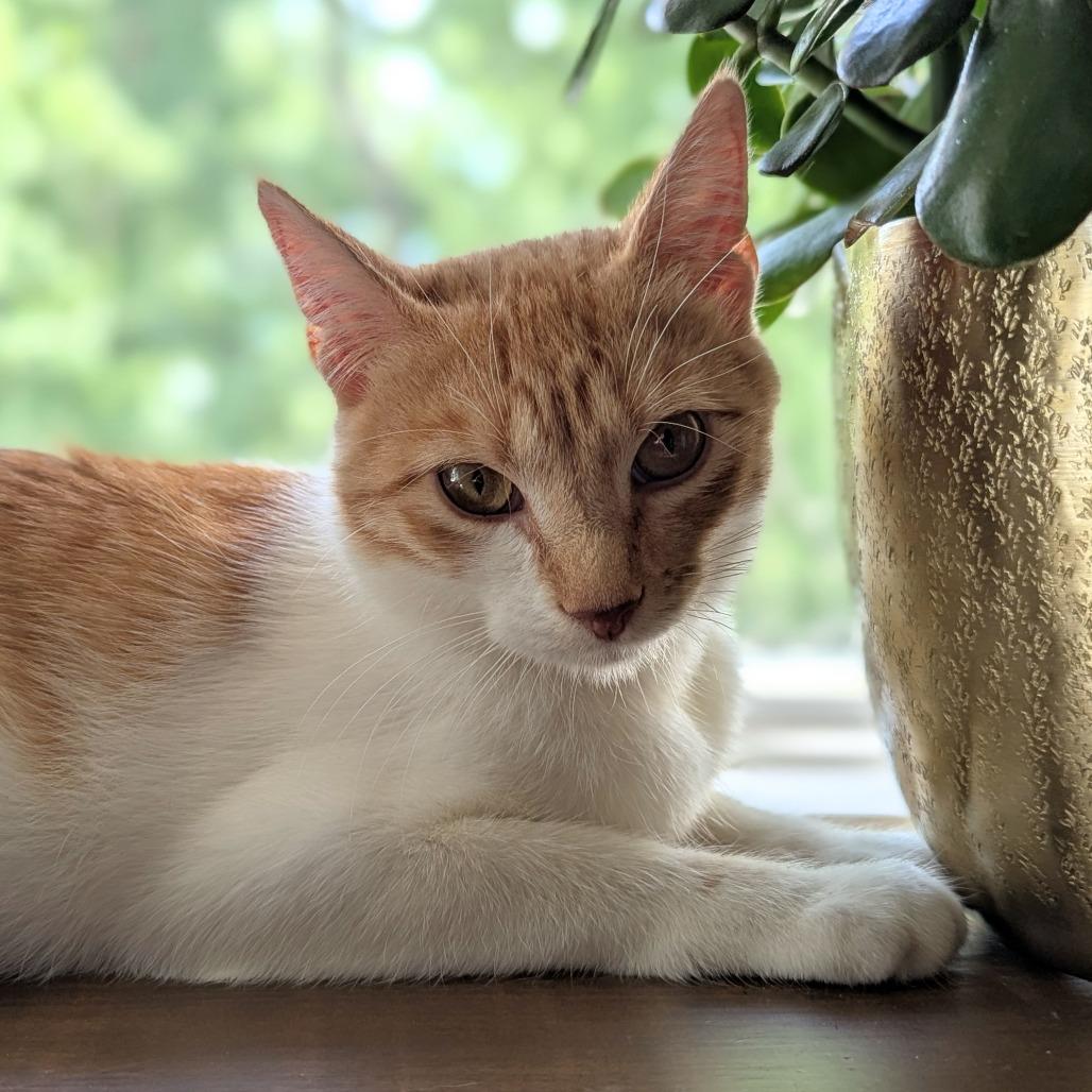 Hilda — thumbnail 3