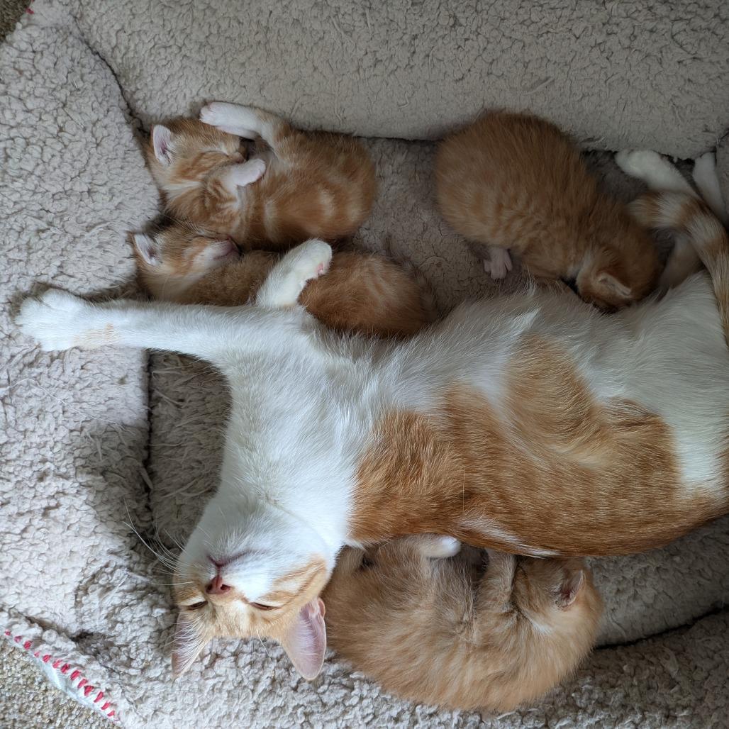 Hilda — thumbnail 4