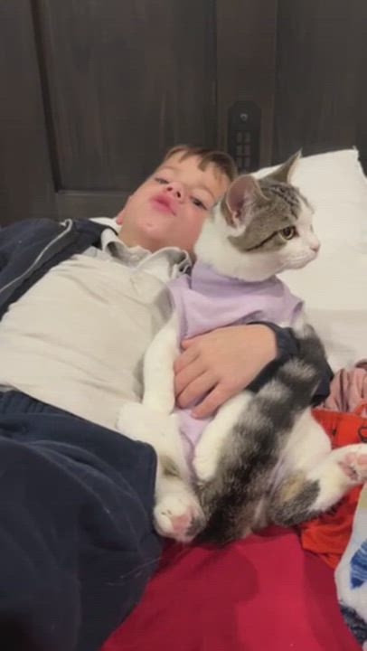 Enlarge Aspen, an adopted mixed breed in Mississauga, ON video 4/4