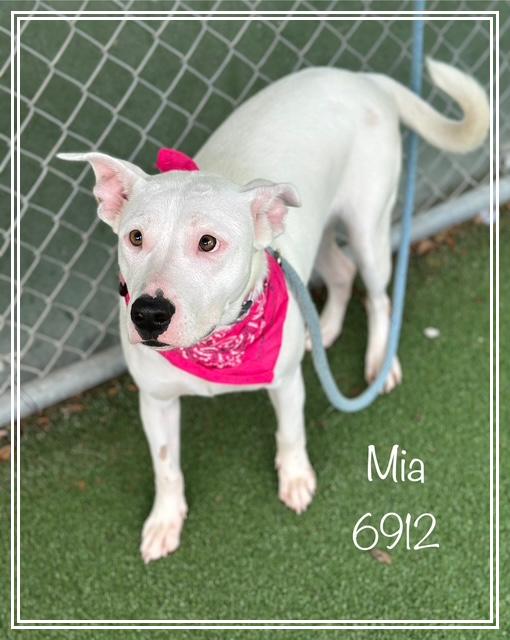 MIA