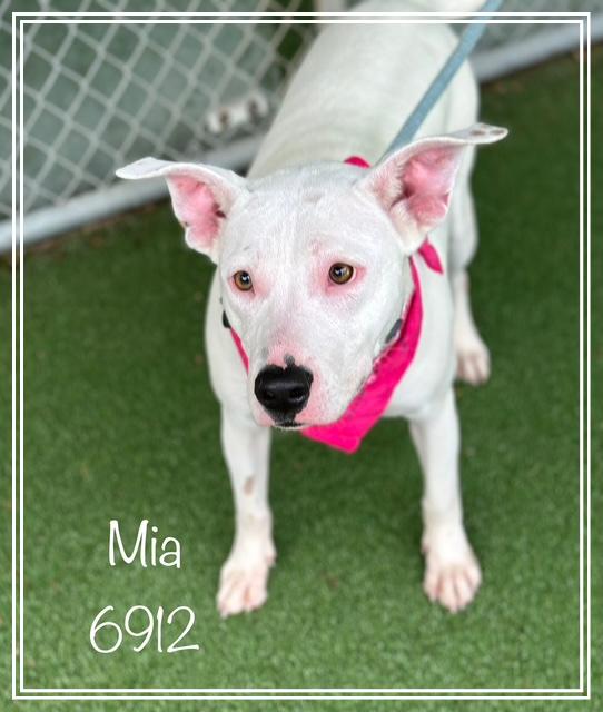 MIA