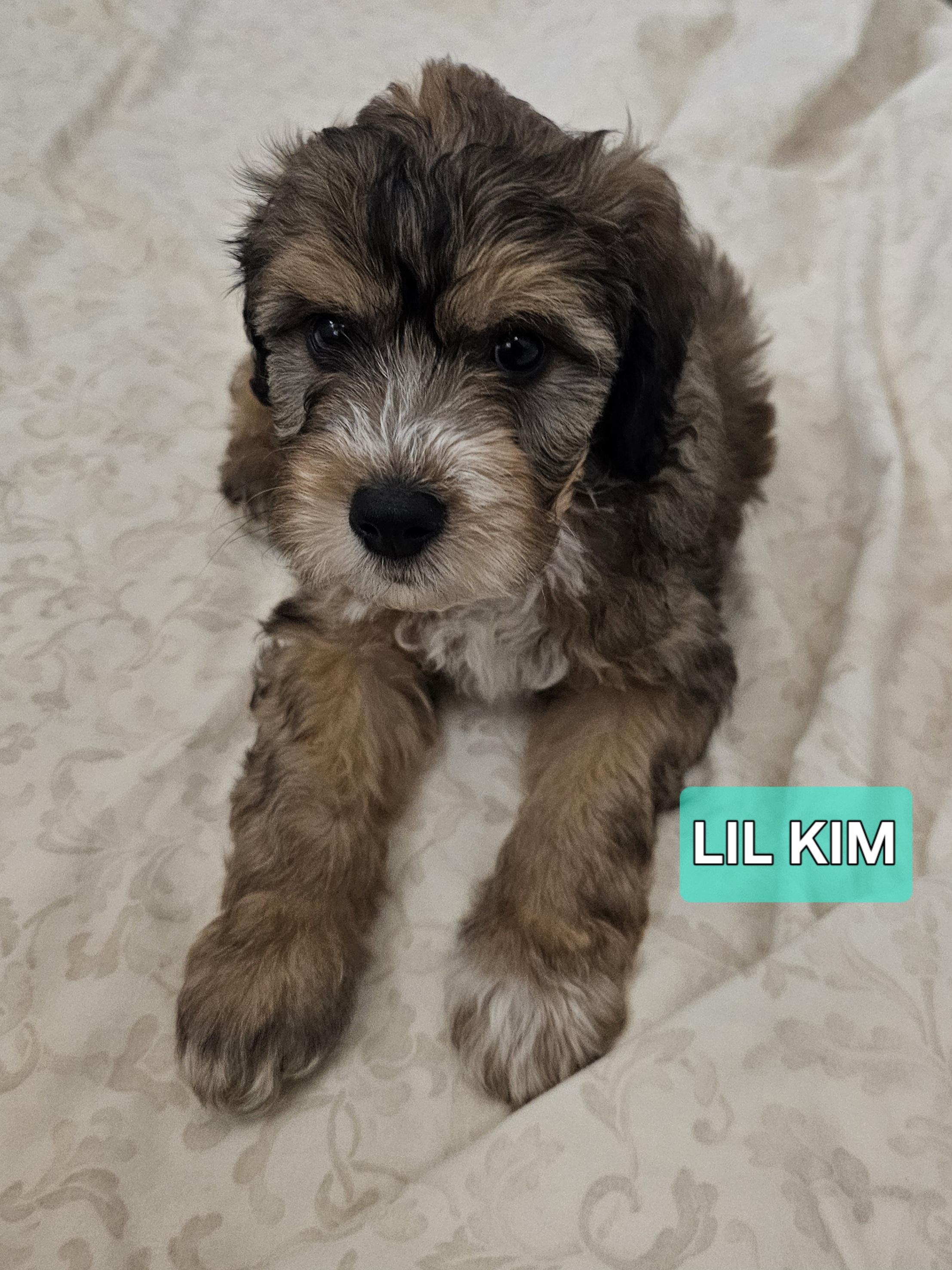 Lil Kim