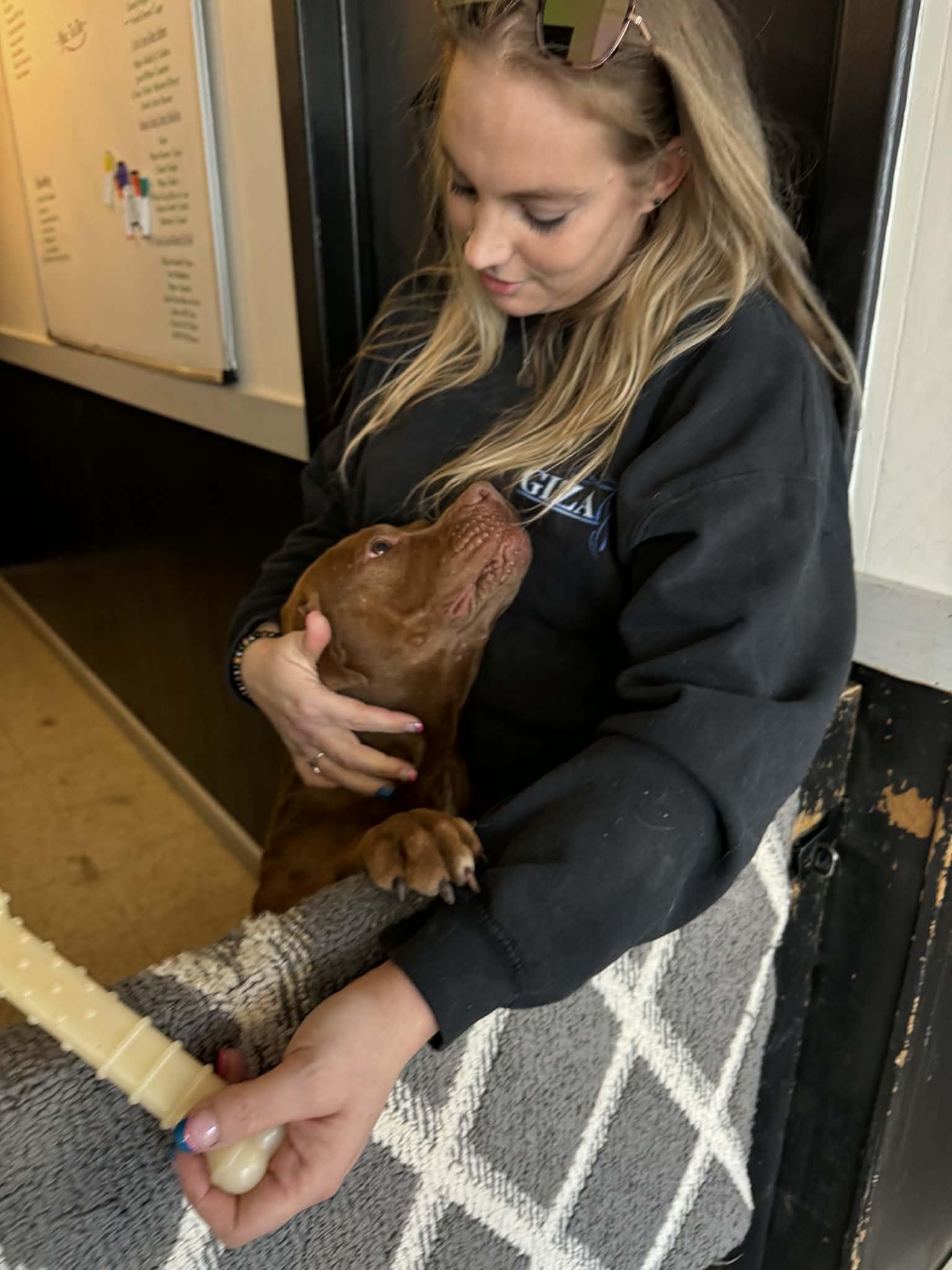 Enlarge Kilo, a ADOPTABLE mixed breed in Creston, IA image 5/5