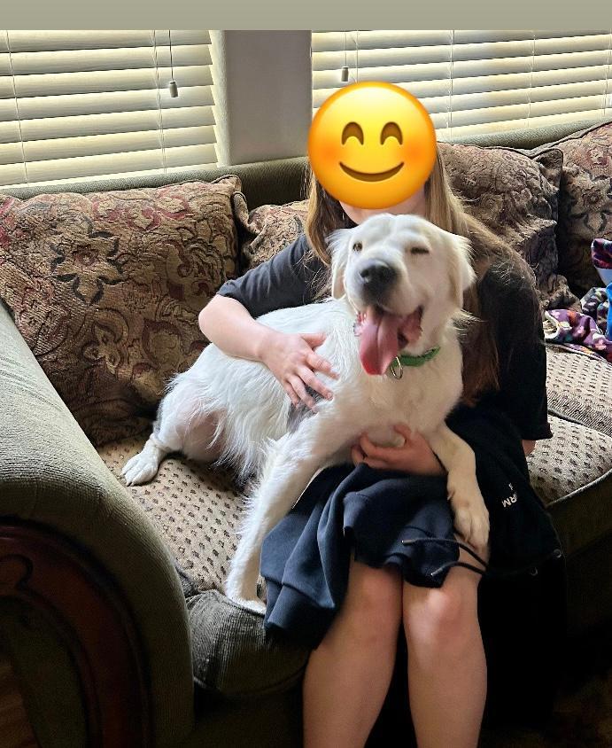 Jaxx, a Adoptable mixed breed in Kuna, ID image 2/3