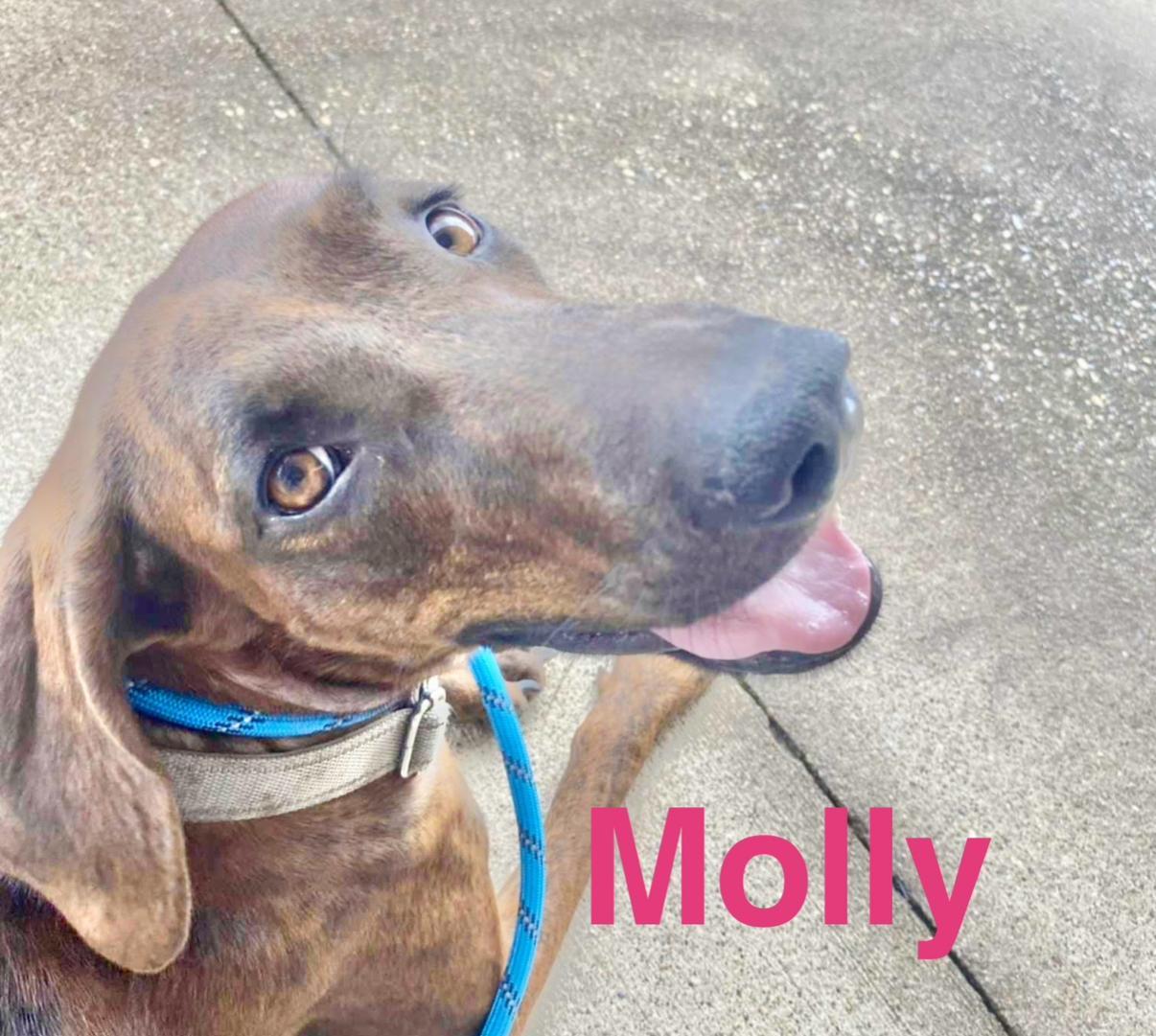 Molly