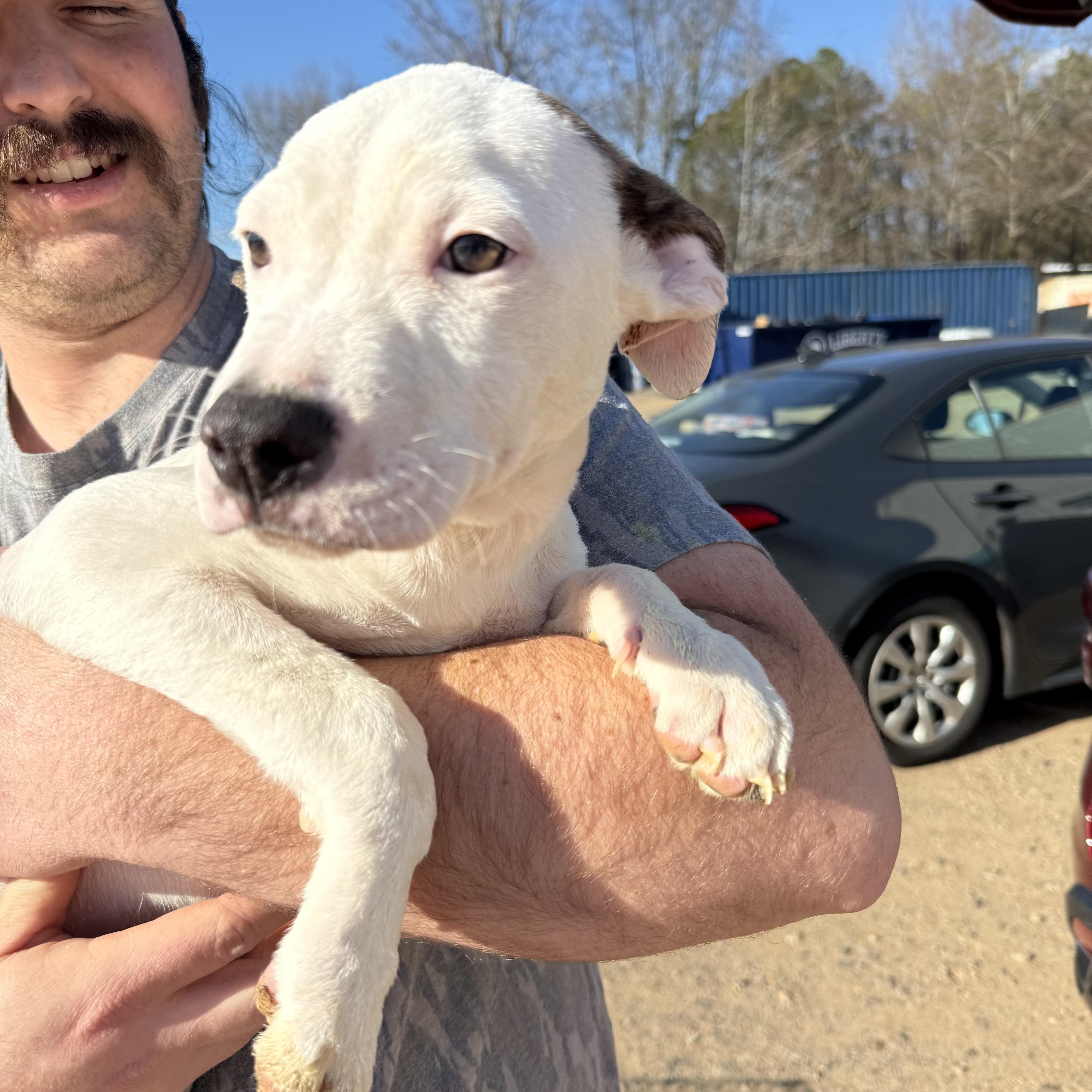 Runner's High — thumbnail 2