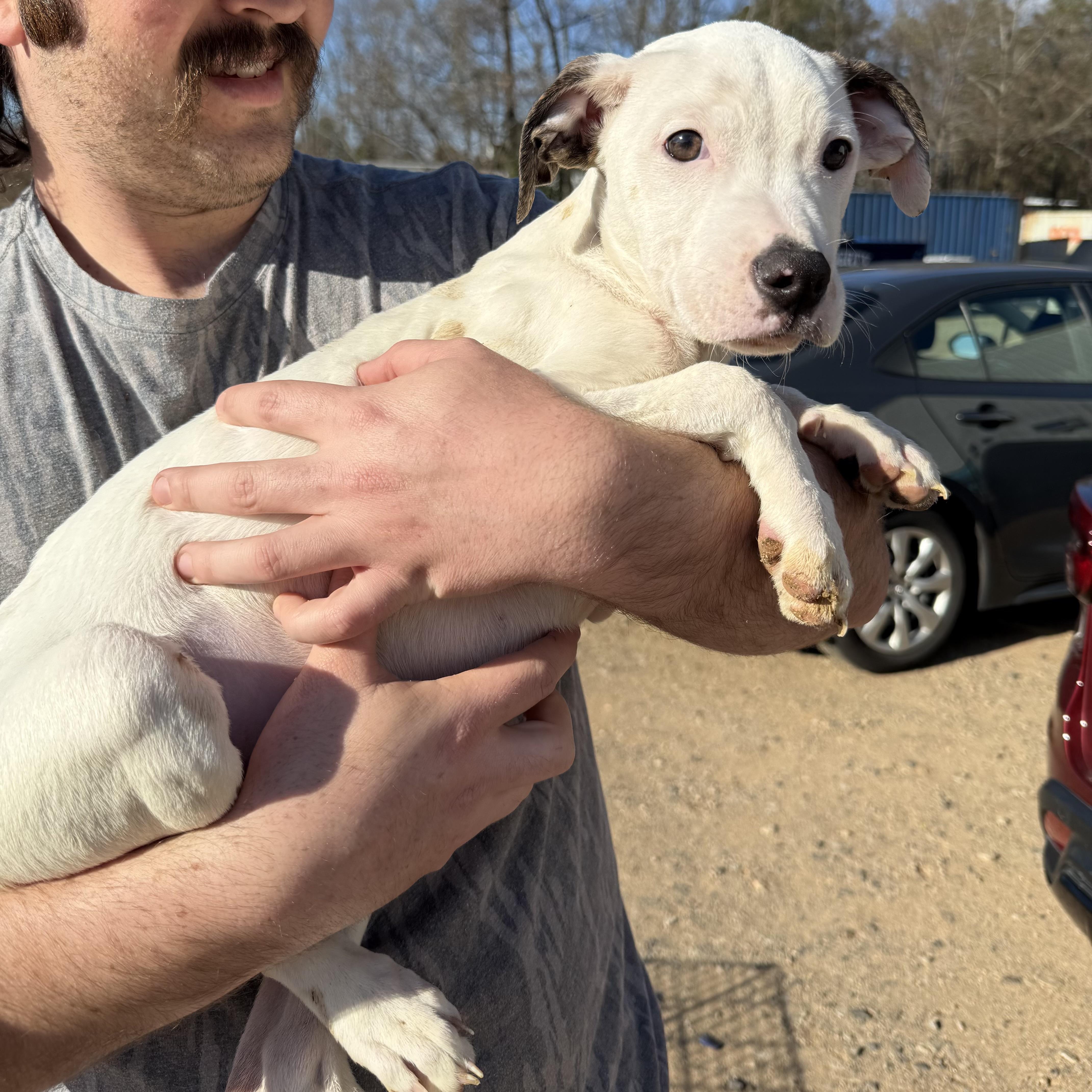 Runner's High — thumbnail 3