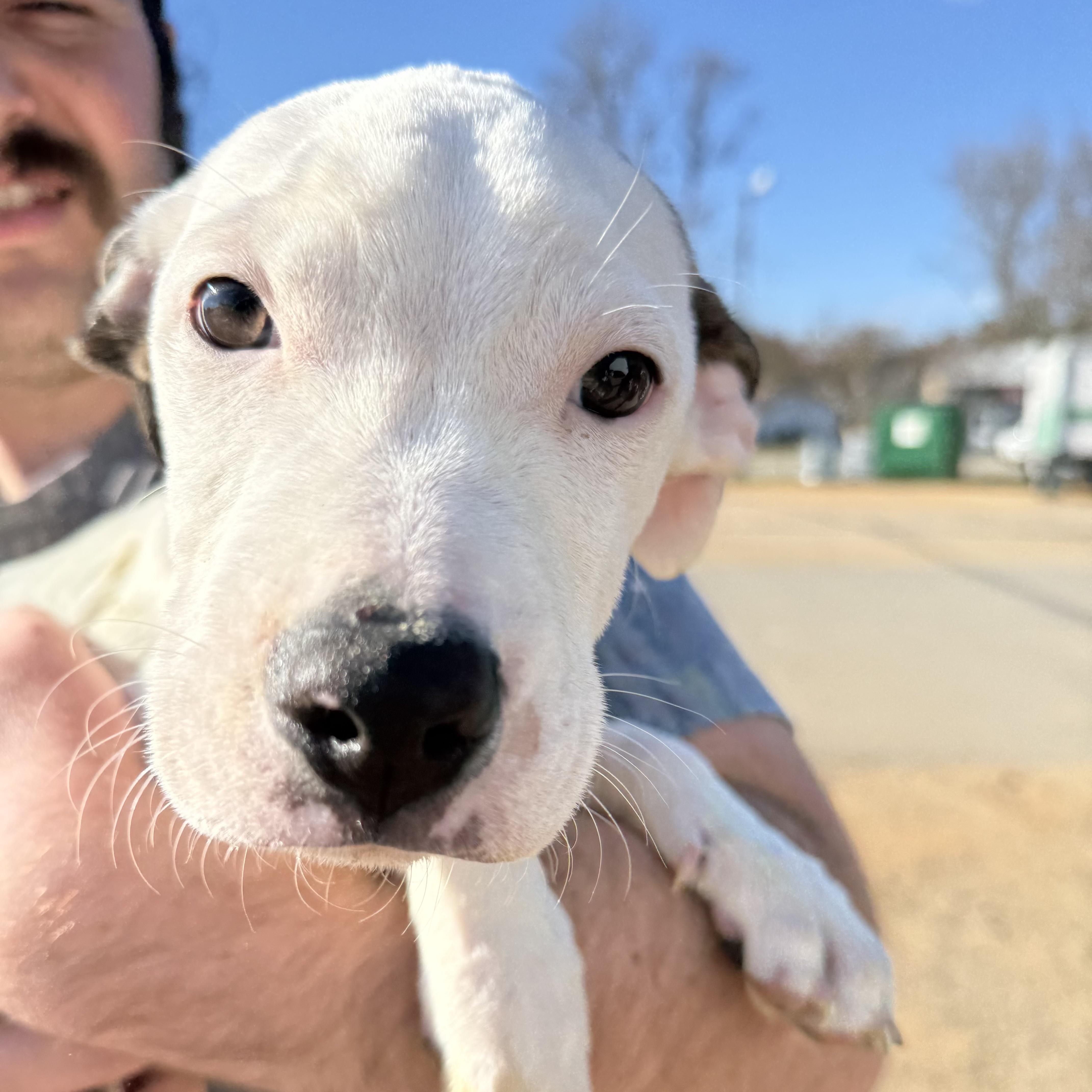 Runner's High — thumbnail 4