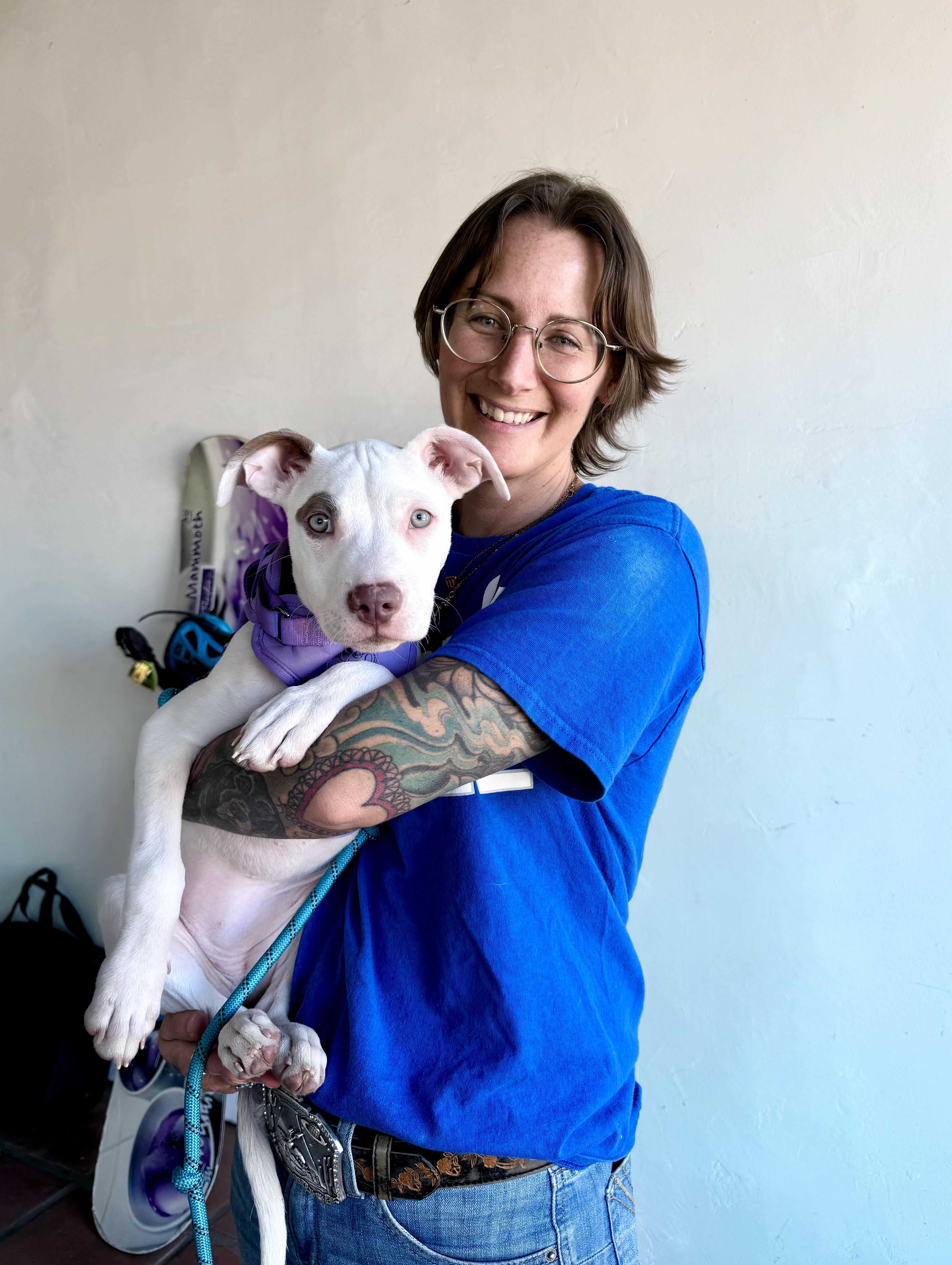 Georgia, adopted, Puppy Female Pit Bull Terrier.