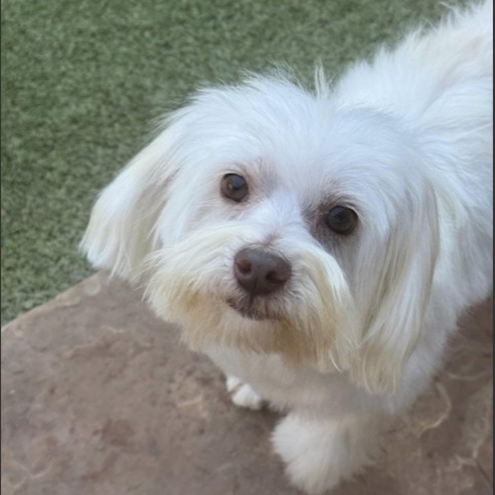 Brinkley thumbnail 2