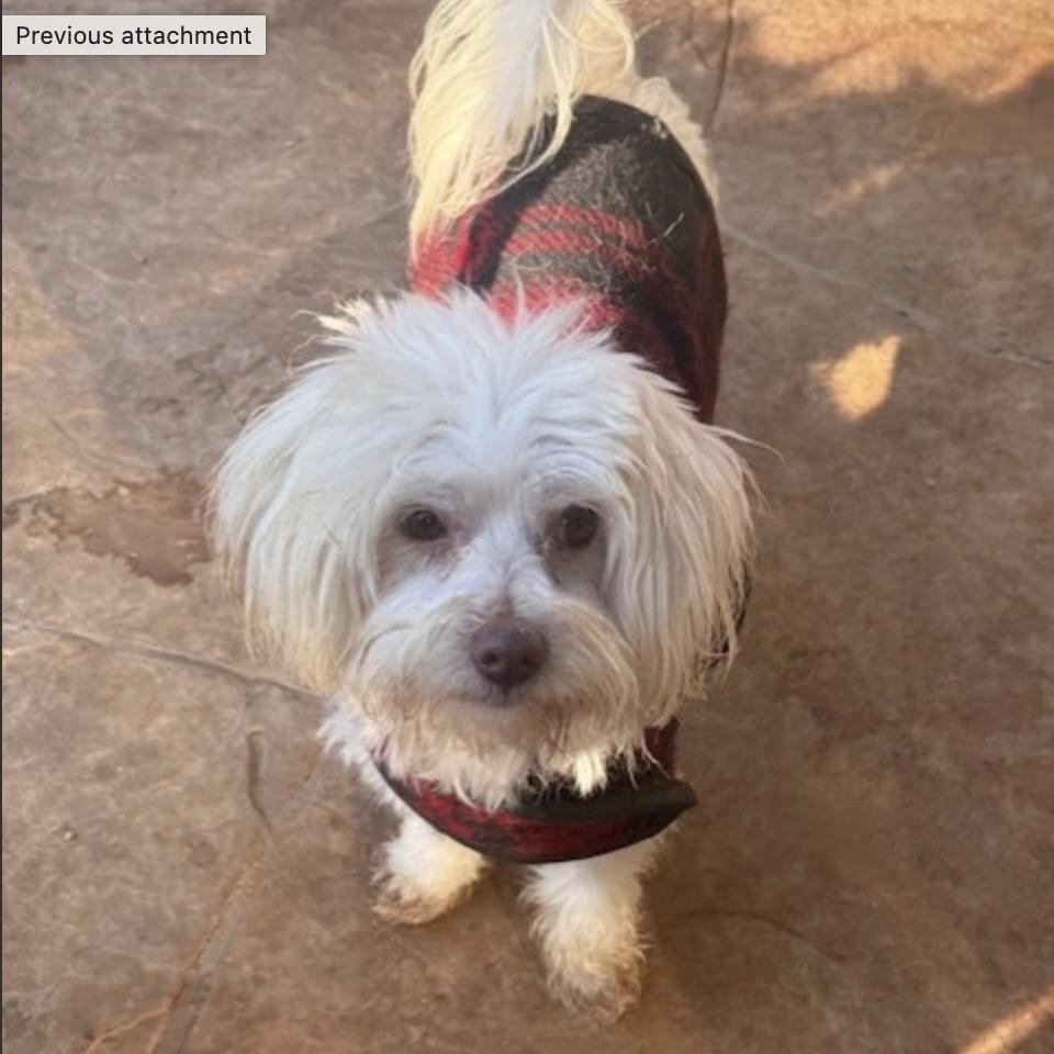 Brinkley thumbnail 5