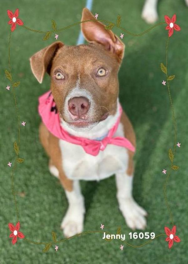 Kira/jenny(302) — thumbnail 2