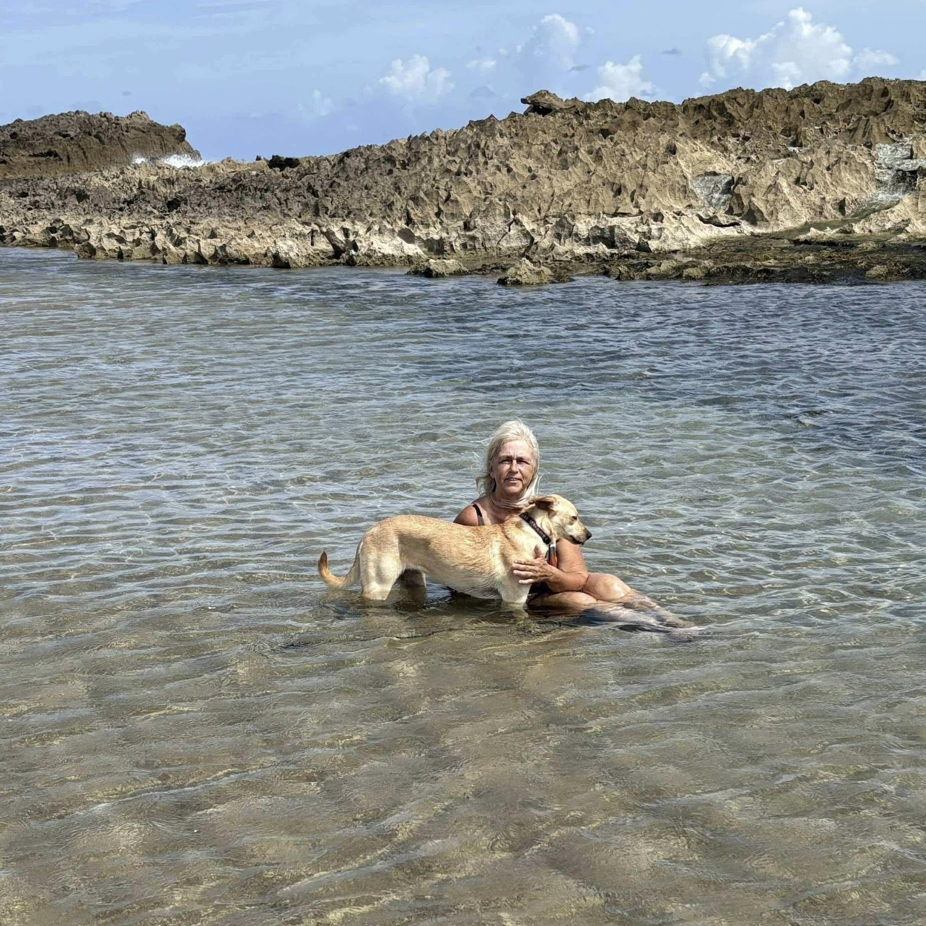 Pina photo 4