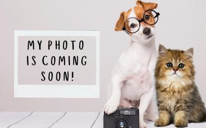 Sourdough thumbnail 3