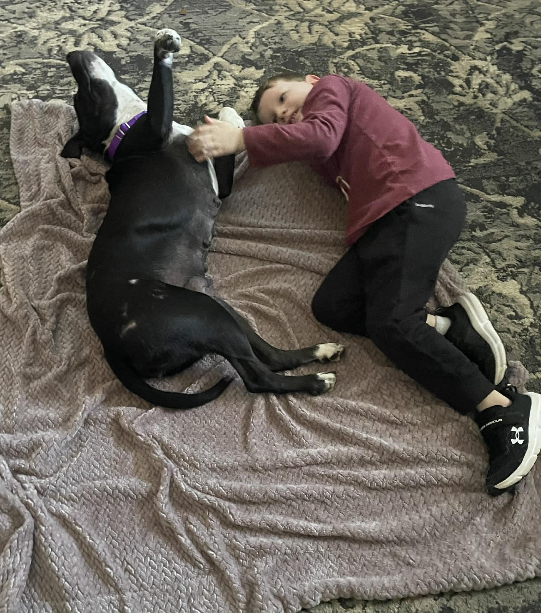 Enlarge Melody, a Adoptable mixed breed in Travelers Rest, SC image 3/4