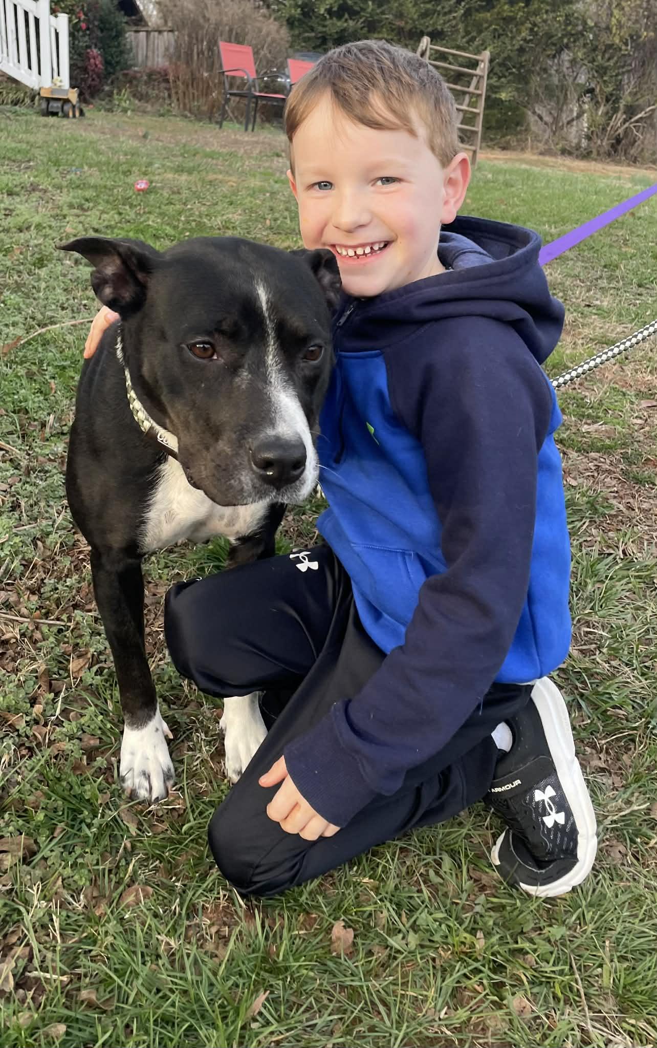 Enlarge Melody, a Adoptable mixed breed in Travelers Rest, SC image 2/4