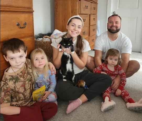 Blossom, adopted, Young Female Domestic Short Hair.