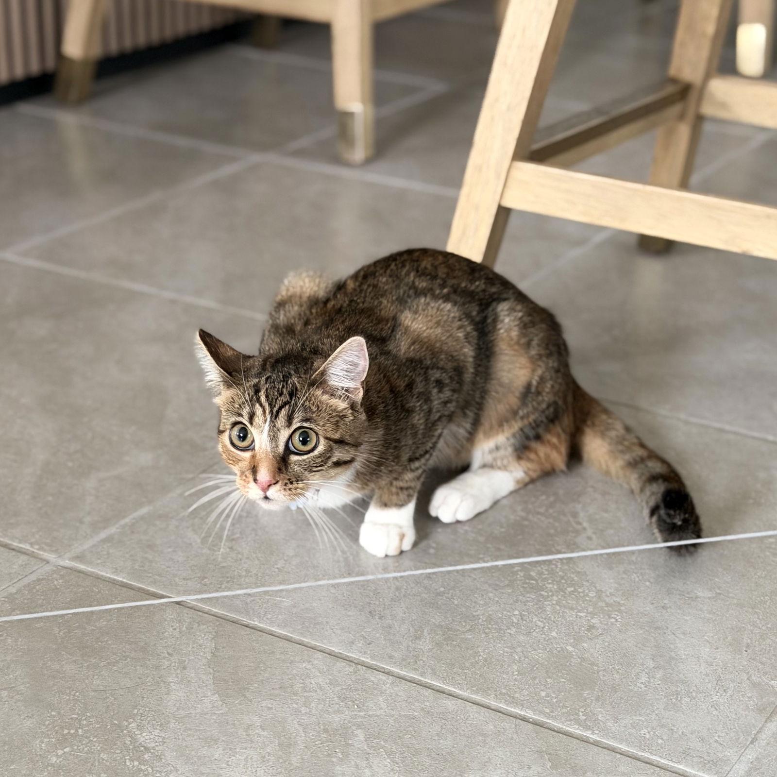 Storm — thumbnail 2