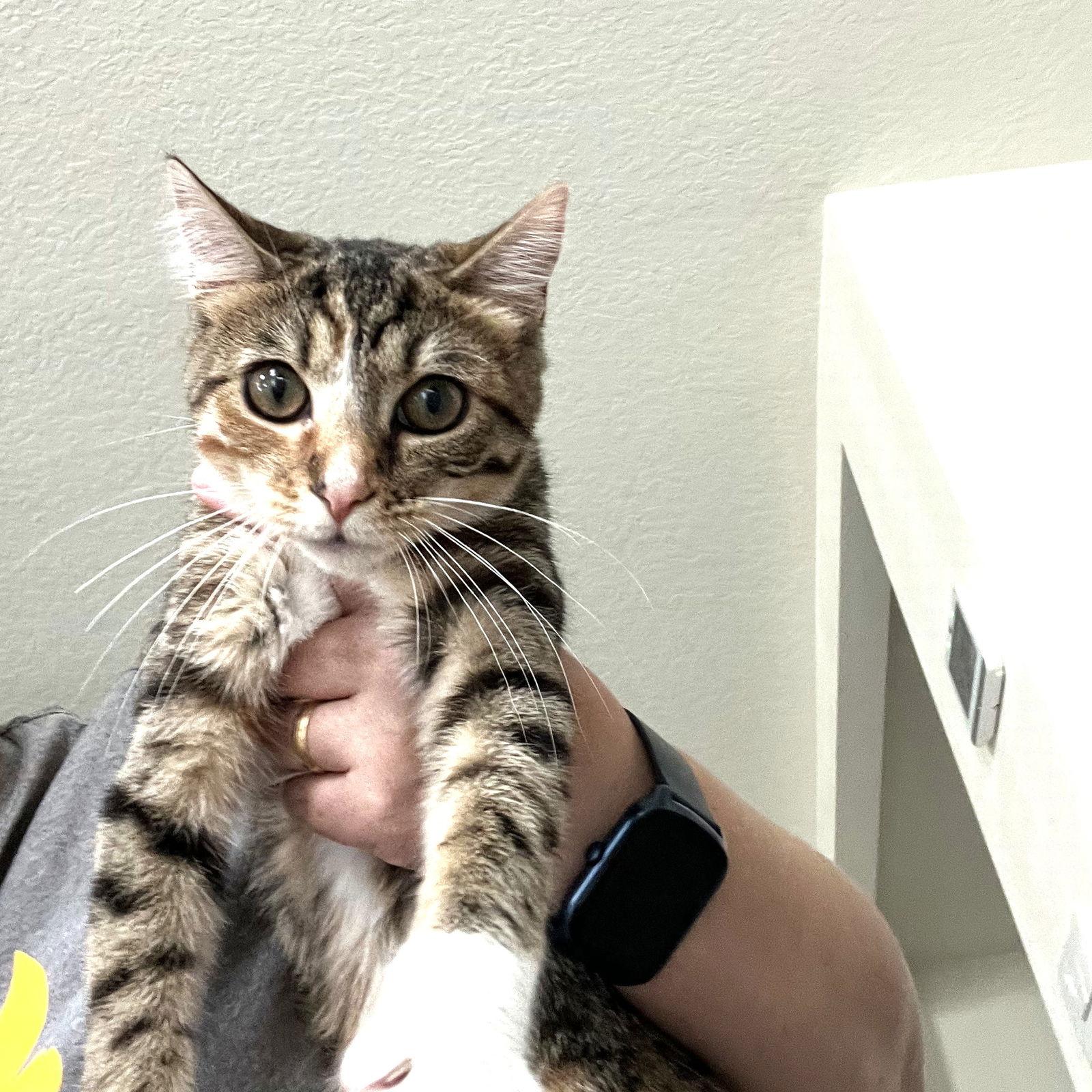 Storm — thumbnail 3