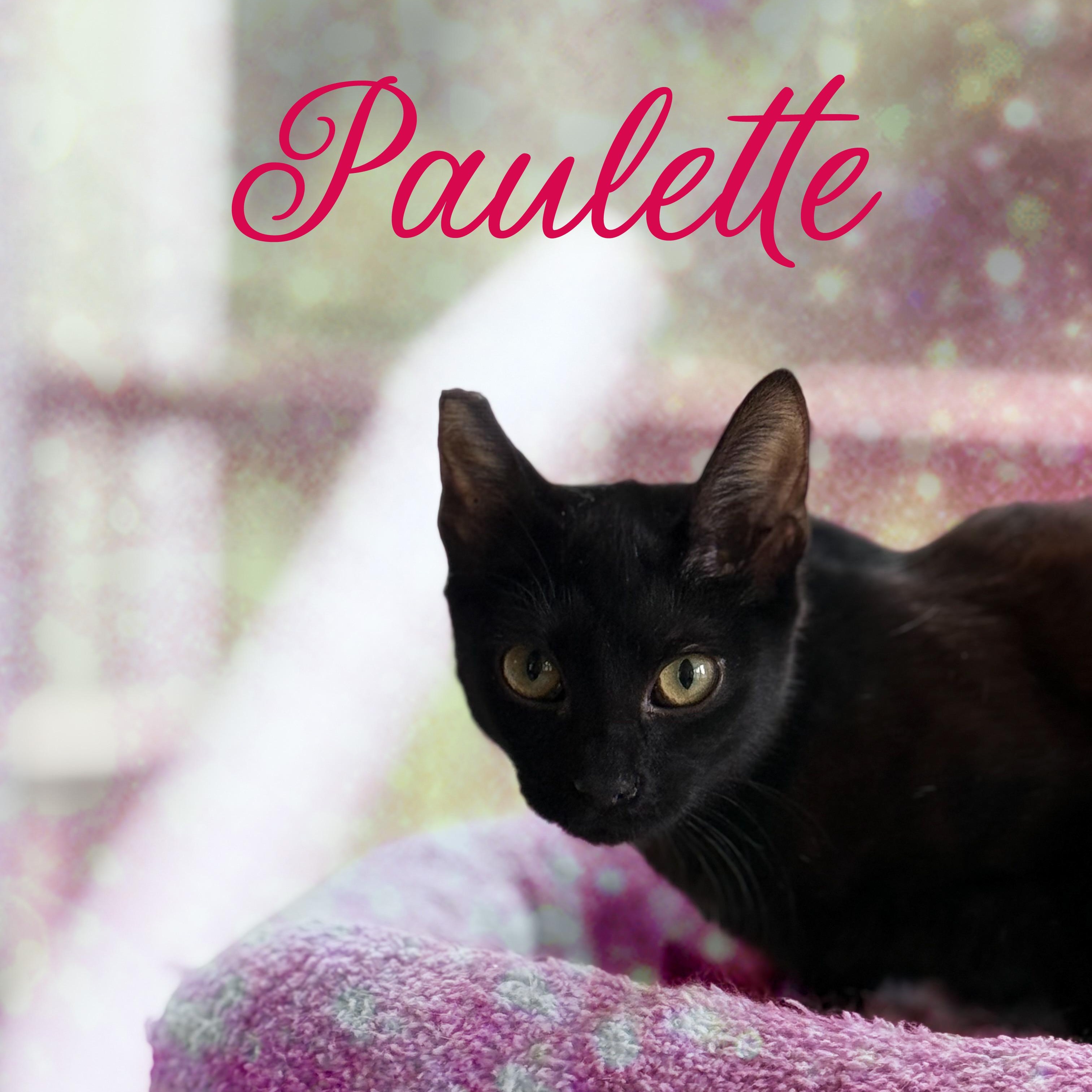 Paulette & Elle photo 3