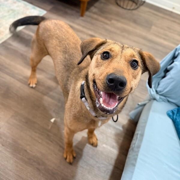 Perfect Pippa with the Soulmate Eyes