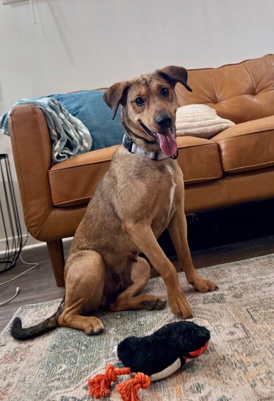 Perfect Pippa with the Soulmate Eyes — thumbnail 2