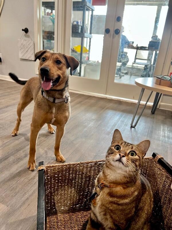 Perfect Pippa with the Soulmate Eyes — thumbnail 5