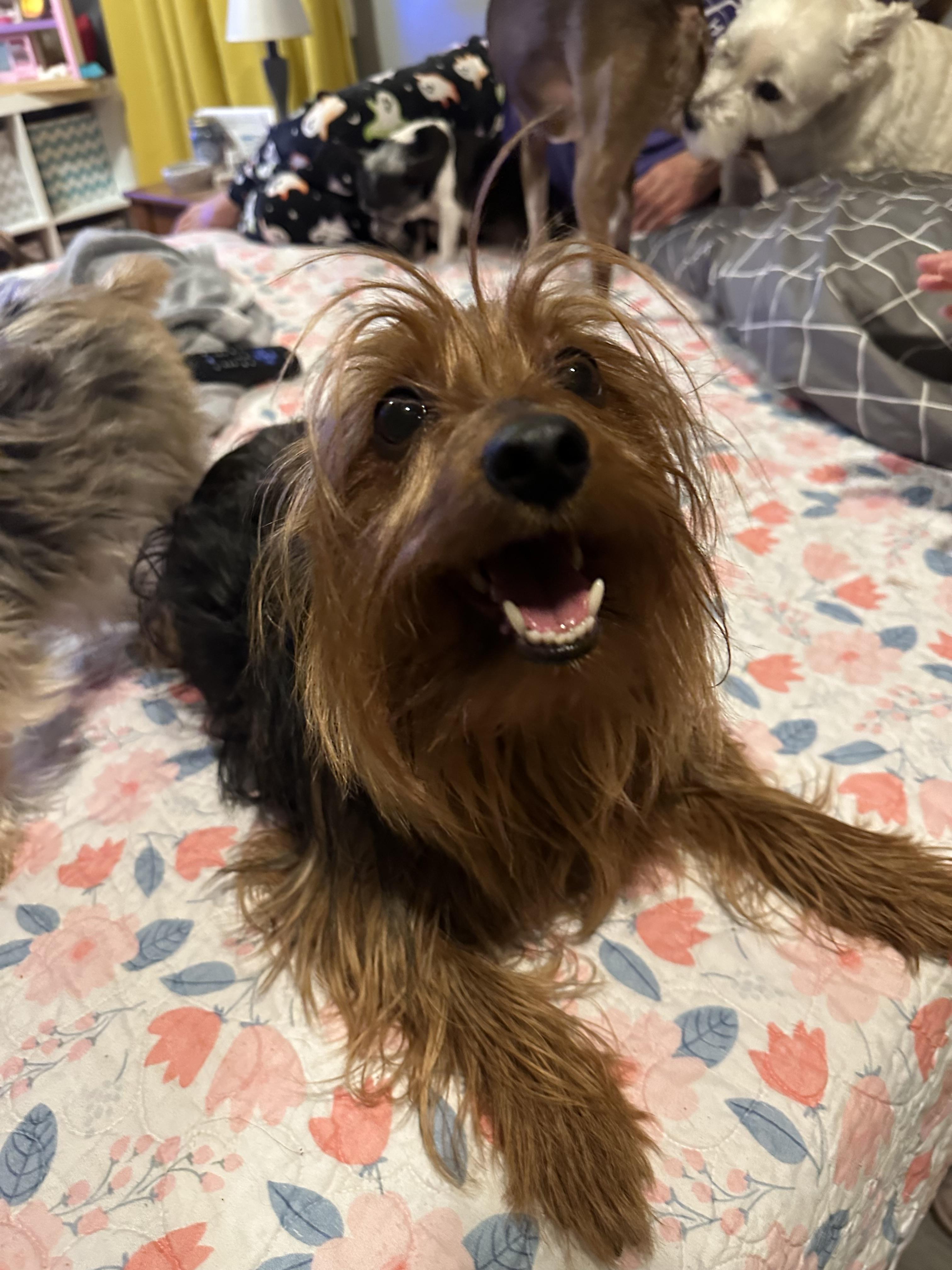 Wade! Amazing boy! — thumbnail 6