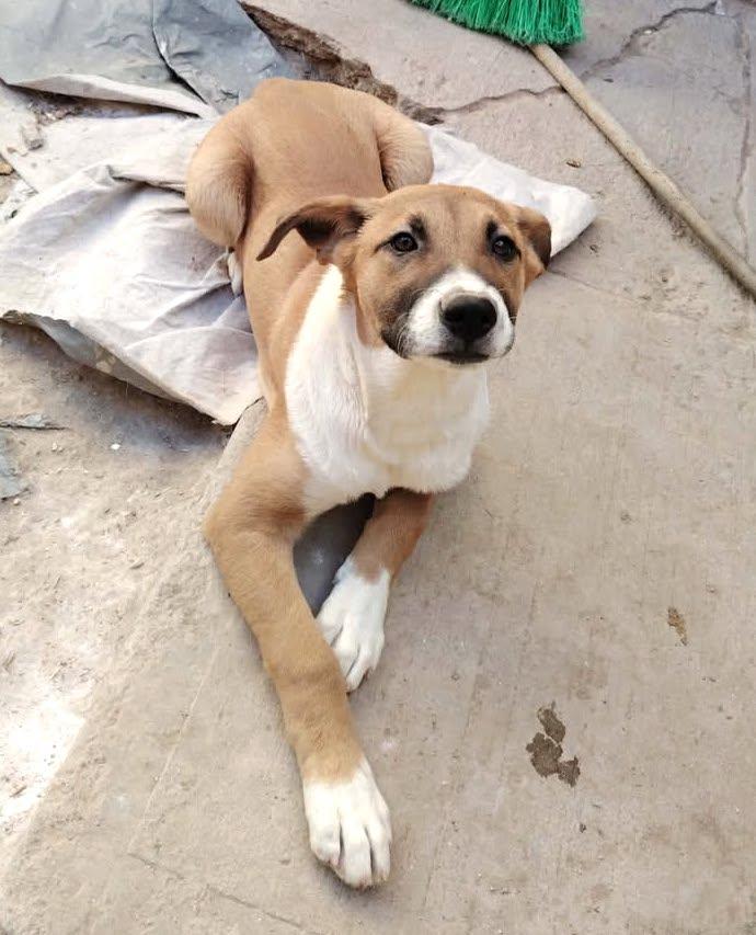 Sofia (2) — thumbnail 3