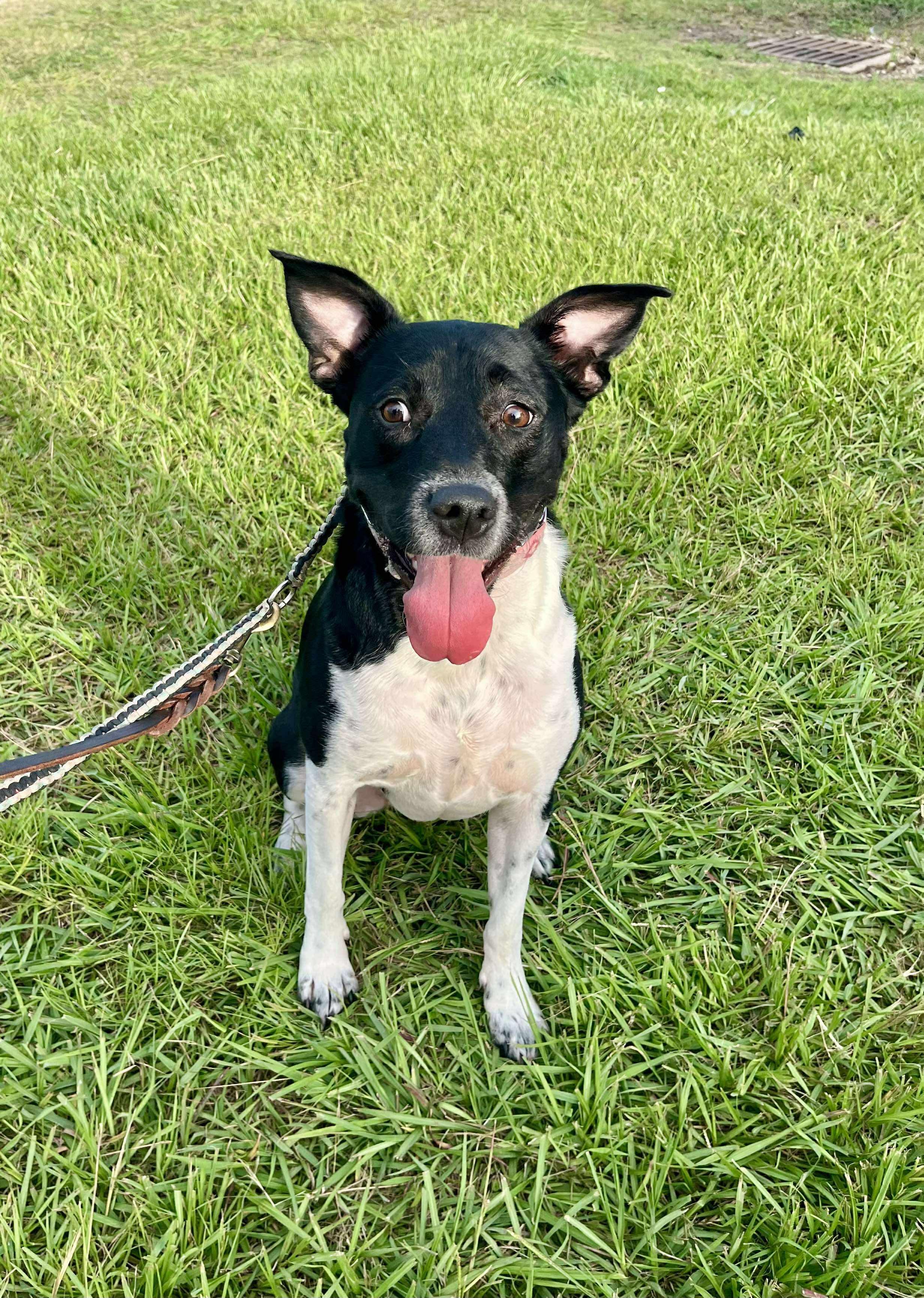 Mikka — thumbnail 2