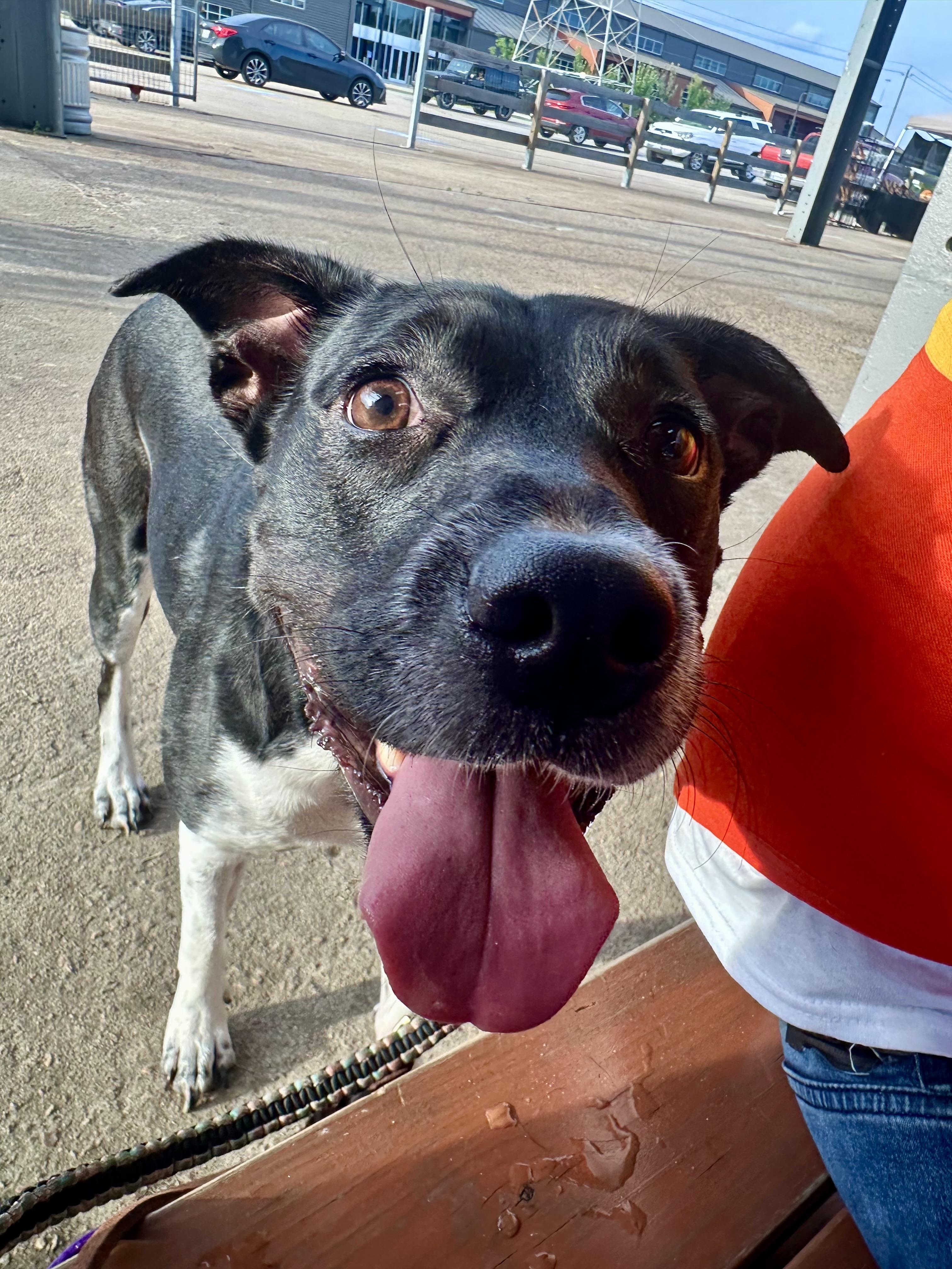 Mikka — thumbnail 5