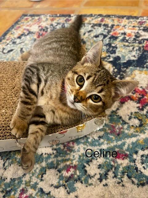Celine