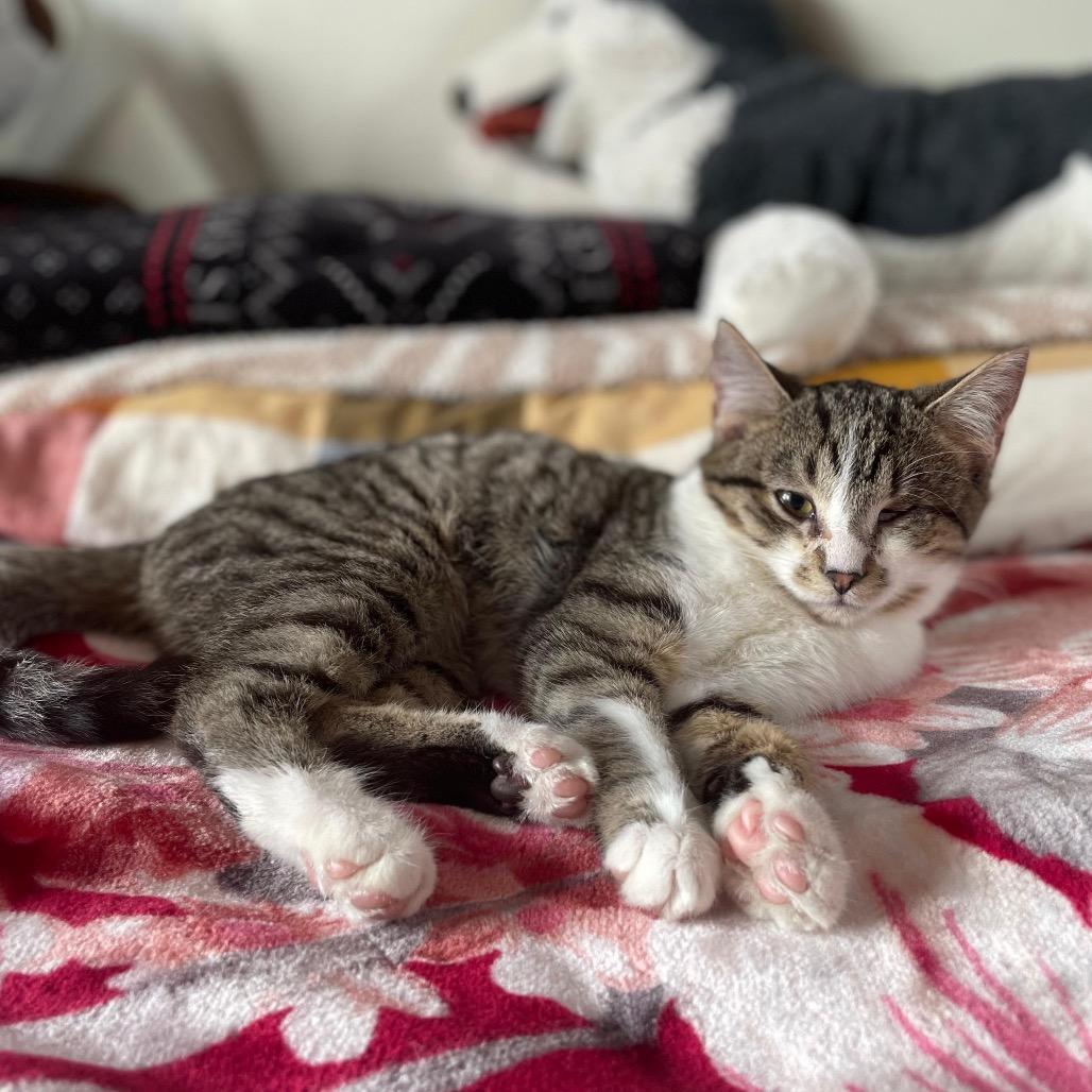 Hartley — thumbnail 4