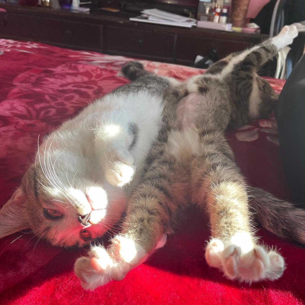 Hartley — thumbnail 5