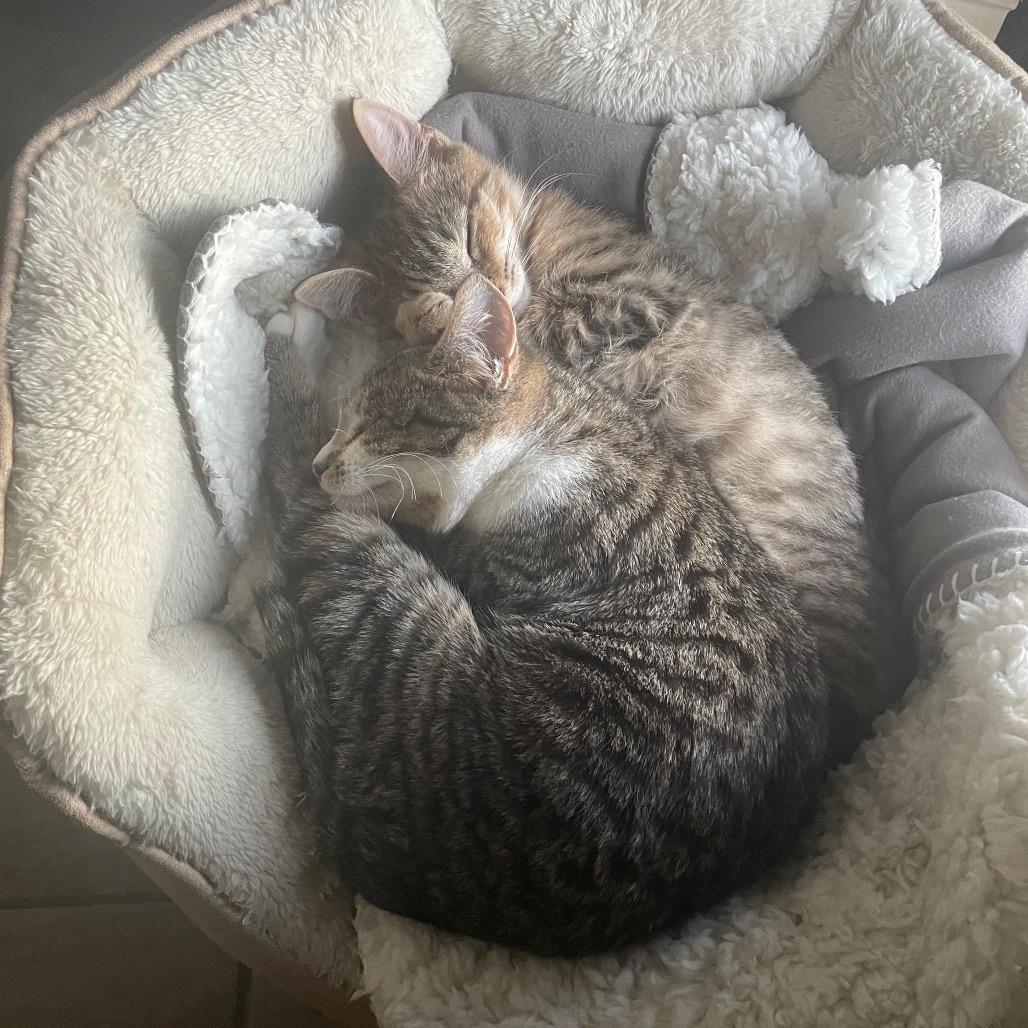 Hartley — thumbnail 6