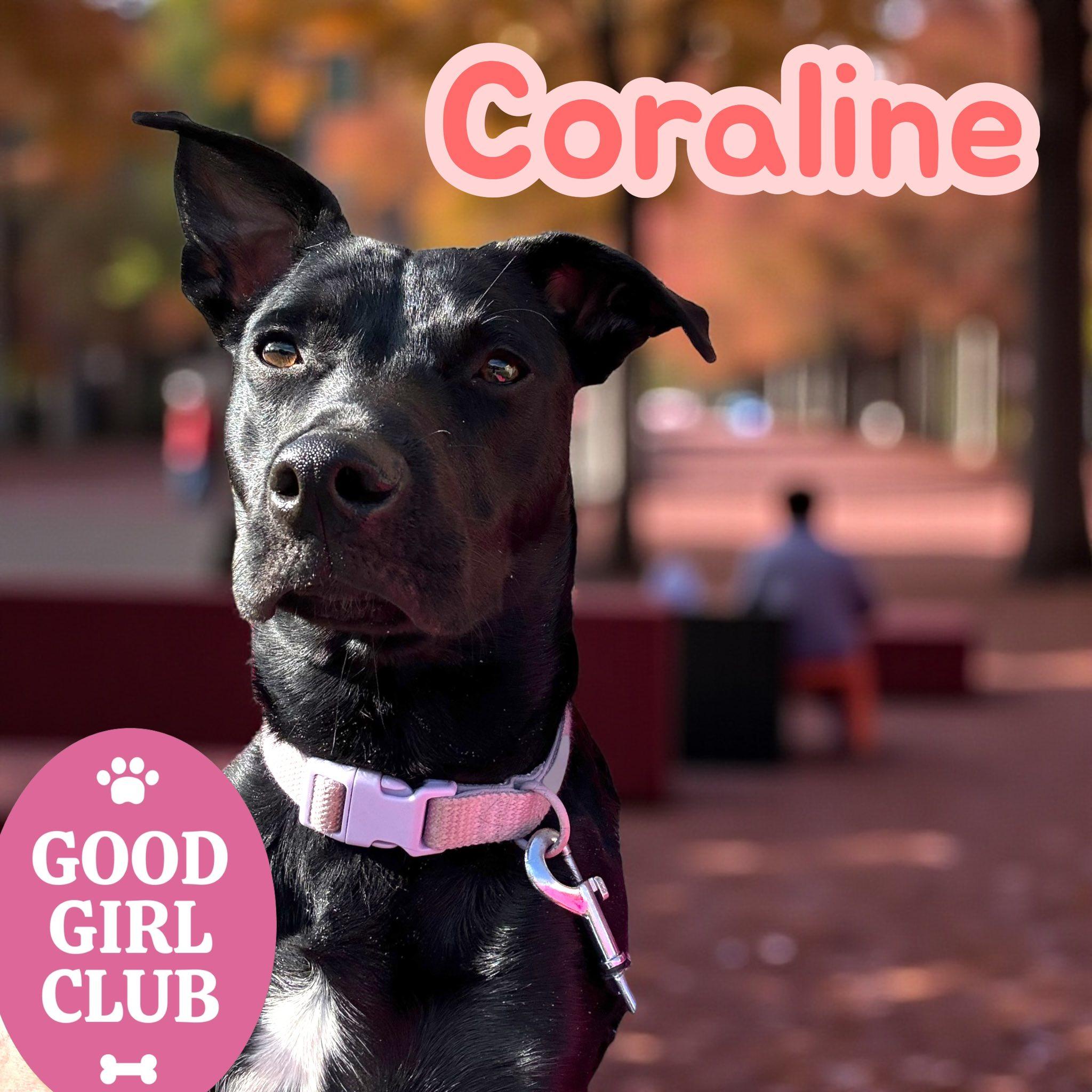 Coraline (3-legged Lovebug!)